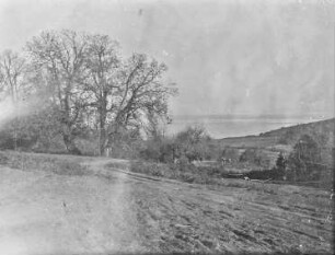 Landschaft : Blick über eine Landschaft mit Bäumen