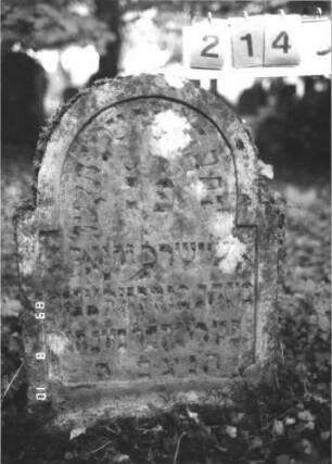 Grabstein 214 (Index: 99799993) Material: Sandstein Zustand: stark verwittert Maße HxBxT: 95x58x10 cm Beschreibung: Stele, eingezogener Stelzbogenabschluß, Schriftfeld eingetieft: Grabstein 214