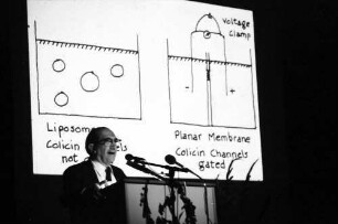 31. Tagung 1981 (29.6.-3.7.) Mediziner; Eröffnung: Salvador E. Luria beim Vortrag