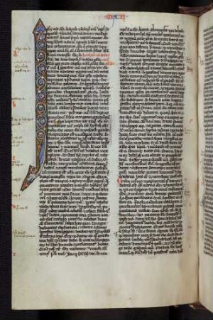 Zierinitialen mit Ranken und Drachen geschmückt.