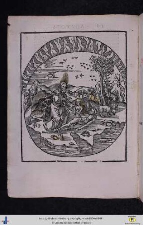 Liber VIII. De Principiis Rerum Naturalium.