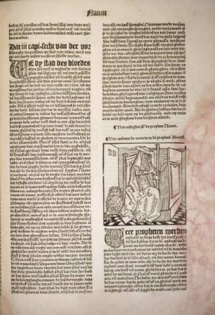 [Hyr anheuet de vorrede in dē prophetē Abacuk.]