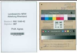 Entnazifizierung Agnes Proft , geb. 11.09.1921 ()