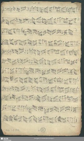 Viol[ino]. 1