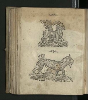 [Tiere]
