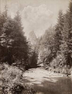 Kreibitzbach im Paulinengrund : Böhmische Schweiz. Kreibitzbach im Paulinengrund bei Dittersbach