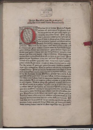 Incipit Speculum beate Marie virginis