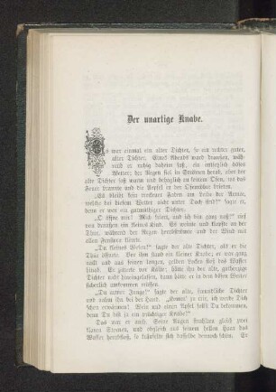 Der unartige Knabe.