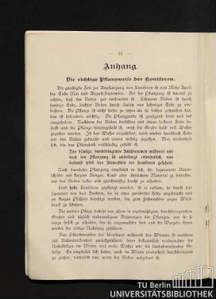 Die richtige Pflanzweise der Koniferen.