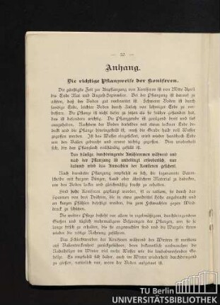 Die richtige Pflanzweise der Koniferen.
