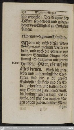Morgen-Segen am Dienstage