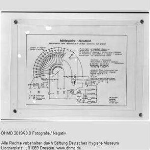 Technische Unterlagen Gläserne Menschen (russisch) - "Wählerplatine Schaltbild"