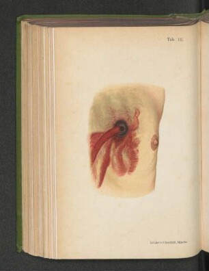 Tab. 19.