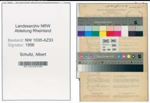 Entnazifizierung Albert Schultz , geb. 02.02.1893 (Arbeiter)