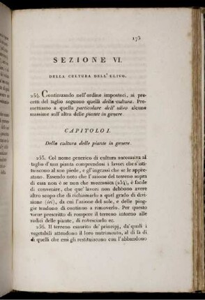 Sezione VI. Della Cultura Dell' Ulivo.