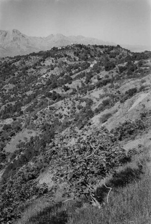 Dorf und Landschaftsblick : Blick auf das Dorf At Hicem, das auf einer Bergkuppe gelegen ist. An den Berghängen lassen sich Gerste- und Weizenfelder sowie Feigenbäume, Macchiebüsche, Eichen und Eschen erkennen.