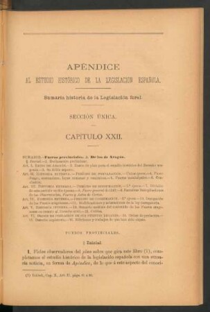 Capítulo XXII.