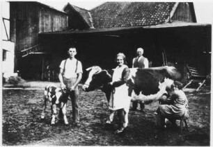 Melken