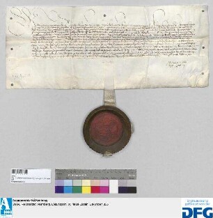 König Maximilian I. benachrichtigt die Stadt Nürnberg, dass er dem Lienhardten Vetter von Werde aus der jährlichen Stadtsteuer 100 fl. Leibgeding verschreibe.