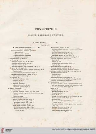 Conspectus