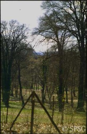 Potsdam, Park Sanssouci, Ruinenberg, Blick in Richtung Historische Mühle.