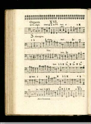 Quatuor Antiphonae.