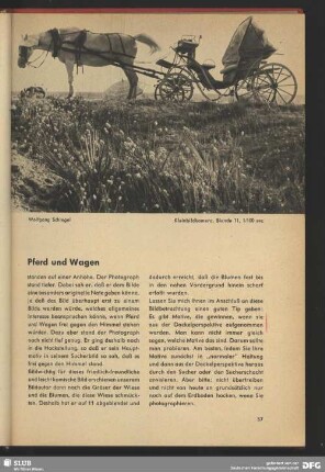 Pferd und Wagen