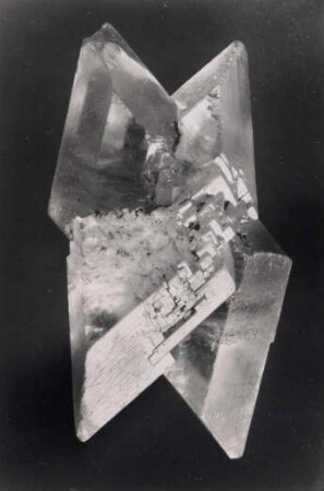 Gips, Kristallzwilling, Sammlung der Universität Bonn