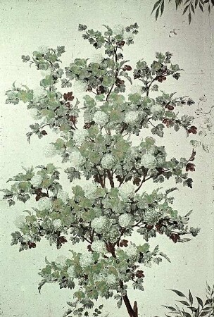 Tapete mit Blumen, Sträuchern und Blumenlandschaft