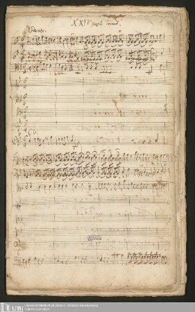 Ms. Ff. Mus. 1253 - XXIV post Trinit.