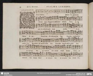 XIV. Cantate Domino canticum novum