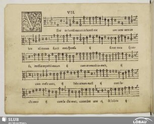 VII. Veni in hortum meum