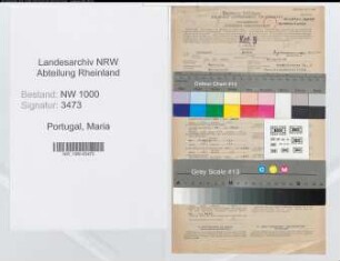Entnazifizierung Maria Portugal, geb. 22.12.1911 (Verw.Gehilfin)