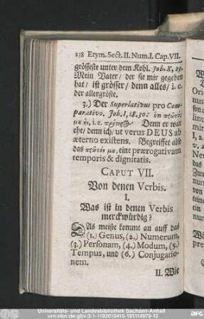 Caput VII. Von denen Verbis.
