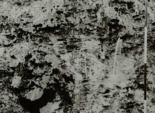 Braunkohleabbau, Tagebau Hirschfelde (Kopalnia Turoszów), Algen im Grundwasserhorizont