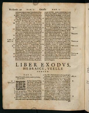 42-76, Liber exodus