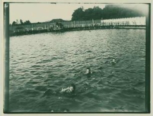 Hans Zille und zwei unbekannte Jungen im Wasser