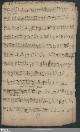 Violone o Fagotto