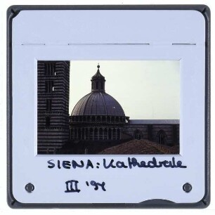Siena, Dom : Kuppel