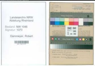 Entnazifizierung Robert Dammeyer , geb. 22.02.1921 ()