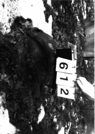 Grabstein 612