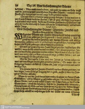 Cap. XV. Von Außnehmung der Bäume / Wurtzeln / Zwiebel- und Knollen-Gewächß der Blumen