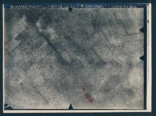 Foto des Geländes westlich von Spriet (Luftbild)
