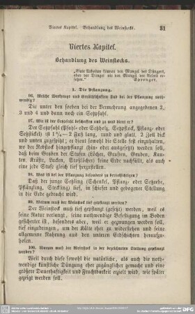 Viertes Kapitel. Behandlung des Weinstocks