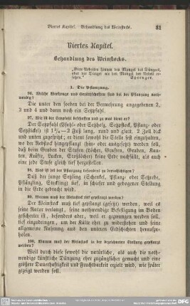 Viertes Kapitel. Behandlung des Weinstocks