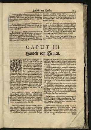 Caput III. Handelt von Säulen