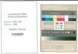 Entnazifizierung Heinrich Diesfeld , geb. 24.04.1894 (Weber)