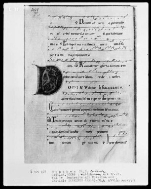 Graduale oder Antiphonar — Initiale D(ominus dixit), Folio 1verso