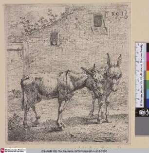 [The two Asses; Two Donkeys; Les deux anes; Zwei Esel]