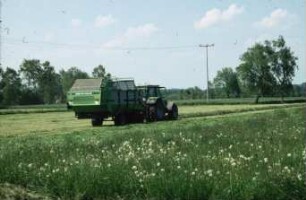 Fotografie: Futtererntetechnik, Ladewagen, Grassilage